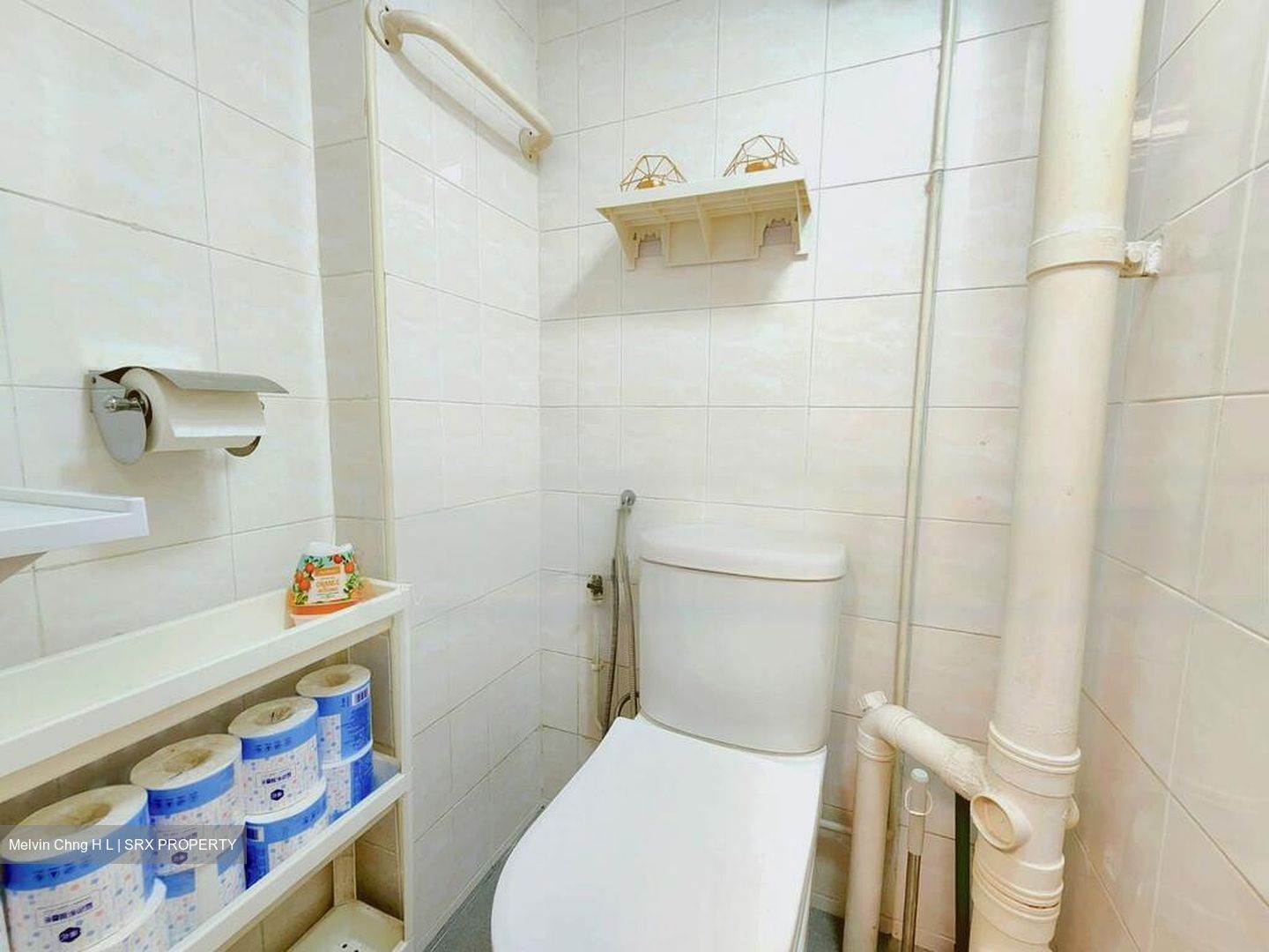 Blk 91 Toa Payoh Palm Spring (Toa Payoh), HDB 3 Rooms #481249671